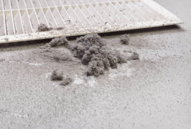 Best Air Vent Cleaning Services  in Nevada, MO