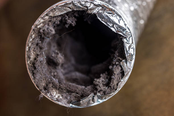 Best Air Duct Cleaning Company Near Me  in Nevada, MO