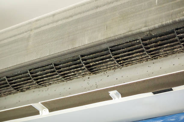 Best Air Duct Cleaning Near Me in MO